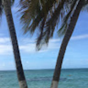 Meet your Posher, Tenille